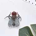 thumbnail image 2 of Shisuyan Realistic Solid Fly Model For Kids Cognitive Insect Toys April Fool'S Day Props Ideal For Pranks And Halloween Party Decorations, 2 of 8