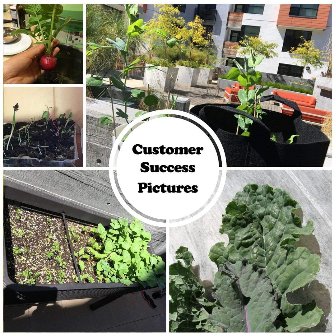 Sustainable Seed Company 22000 Heirloom Plant Seeds, Easy Growing