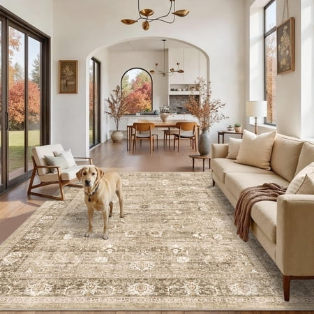 Accent | Beige Khaki 6 x 9 (Rectangular) Area Rug