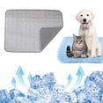 thumbnail image 2 of Popular!Almohadilla fresca para mascotas de verano,antihumedad y resistente a desgarros,almohadilla de hielo para mascotas,almohadilla fresca para dormir,almohadilla de descanso, 2 of 8