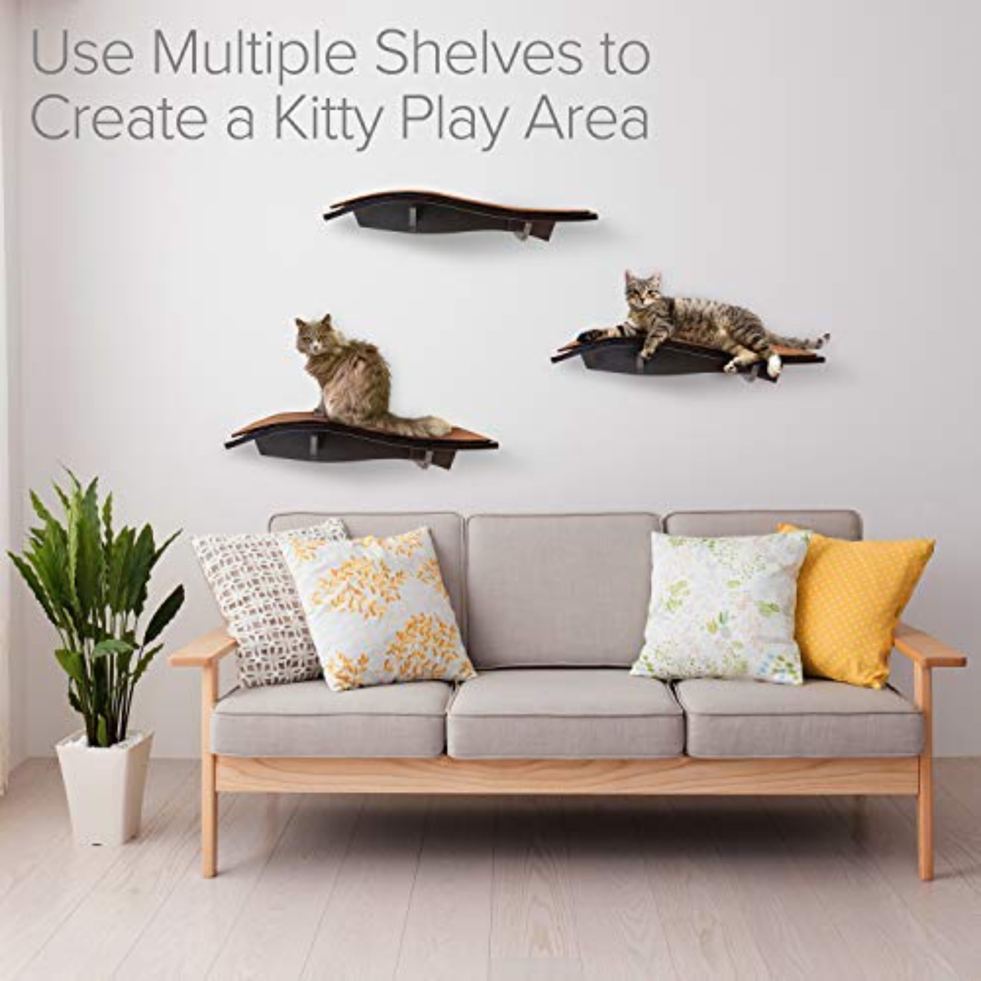 Arf Pets Wall-Mounted Curved Wooden Cat Shelf for Climbing & Resting