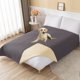 thumbnail image 5 of Funda impermeable y antideslizante para cama de perro y manta para mascotas, sofá, estera de cama para mascotas, 5 of 5