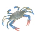 thumbnail image 1 of EIMELI Modèle Animal Marin Réaliste en PVC Crabe Bleu Figurine Solide Jouet pour Enfants Cadeau Océan, 1 of 6