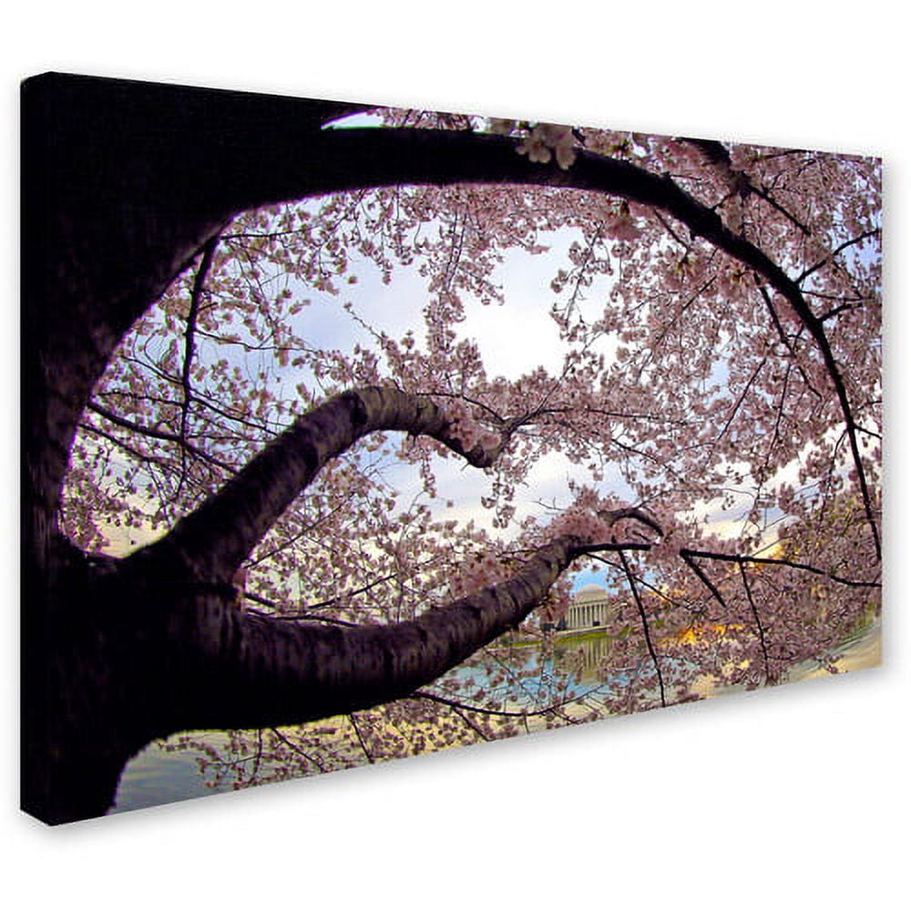 Trademark Fine Art "Cherry Blossoms 2014-1" Canvas Art by CATeyes