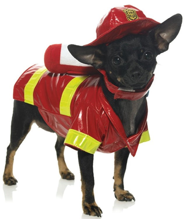 Leg Avenue Dog Costumes Fire Dog Costume