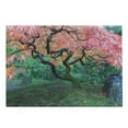 thumbnail image 1 of Japanese Cutting Board, Aged Red Leaf Maple Moss Garden Scenery in Autumn Grass Relaxation in Nature, Decorative Tempered Glass Cutting and Serving Board, Large Size, Green, by Ambesonne, 1 of 1