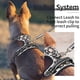 thumbnail image 5 of Arnés para perros HEELE, ajustable, sin tirones, acolchado para perros XL, 5 of 6