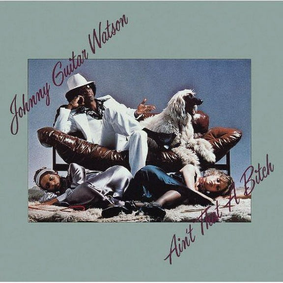 Johnny "Guitar" Watson - Ain't That a Bitch - Music & Performance - CD
