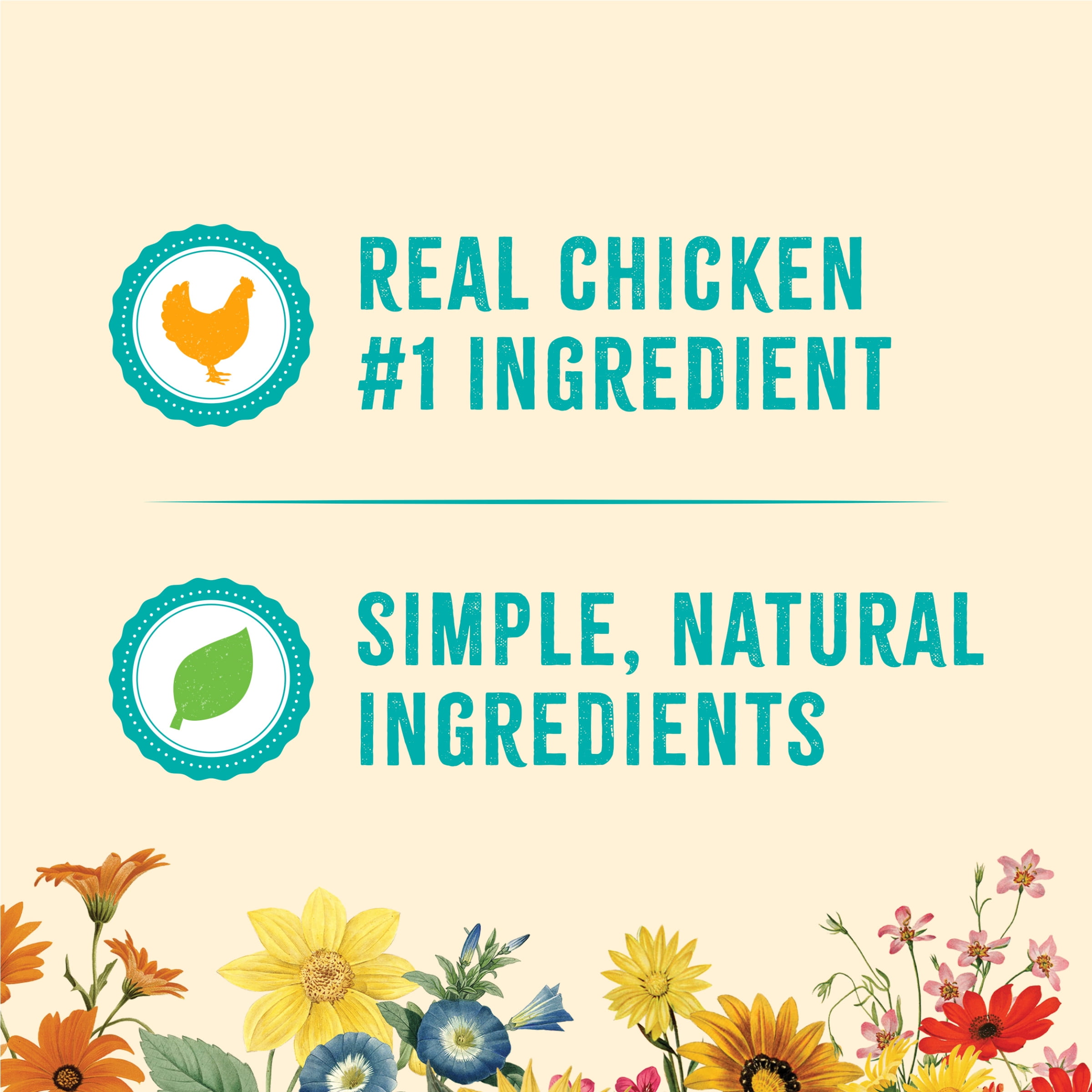 The Pioneer Woman Chicken and Sweet Taters Recipe Bites Natural, Grain Free Soft Dog Treats, 5 oz. Pouch