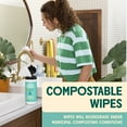 thumbnail image 5 of Aunt Fannie's Vinegar Cleaning Kit: Spray, Wipes & Floor Cleaner, Eucalyptus, 5 of 7