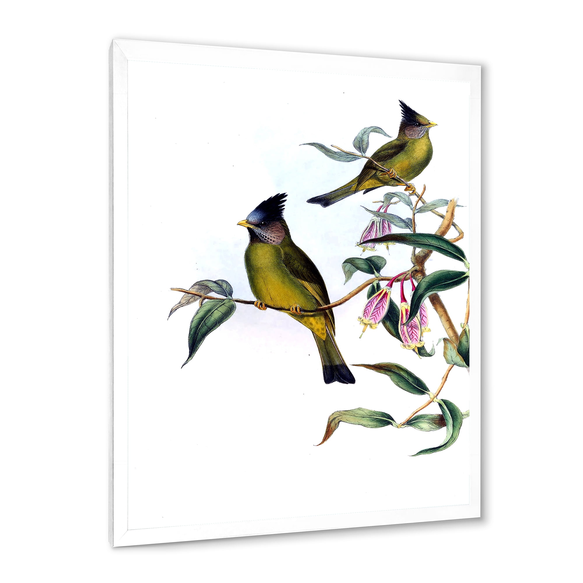 Designart 'Vintage Countryside Birds On Branch II' Farmhouse Framed Art Print