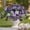 Purple, variant on Vibrant Purple Yellow Red Artificial Flower Vines, Realistic 20.47in Plastic Hanging Plants for Wall Decor, Lifelike Faux Greenery Home Wedding Patio Garden Indoor Outdoor Decoration, Purple