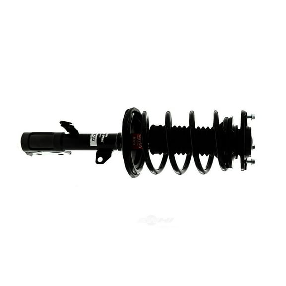 Suspension Strut and Coil Spring Assembly