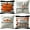 Orange Primary, variant on Fall Pumpkin Pillow Cover 18x18 Fall Decor Cushion Cover Autumn Stripe Throw Pillow Cover Thanksgiving Farmhouse Decorative Cushion Cases 18x18 Set of 4