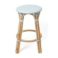 thumbnail image 4 of Classic Bistro Backless Rattan Counter Stool, 4 of 6