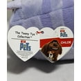 thumbnail image 5 of Ty TY42196 Teeny The Secret Life of Pets Chloe Plush - 8 cm, 5 of 6
