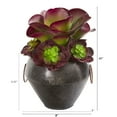 thumbnail image 2 of 11in. Echeveria and Succulent Artificial Plant in Metal Bowl, 2 of 2