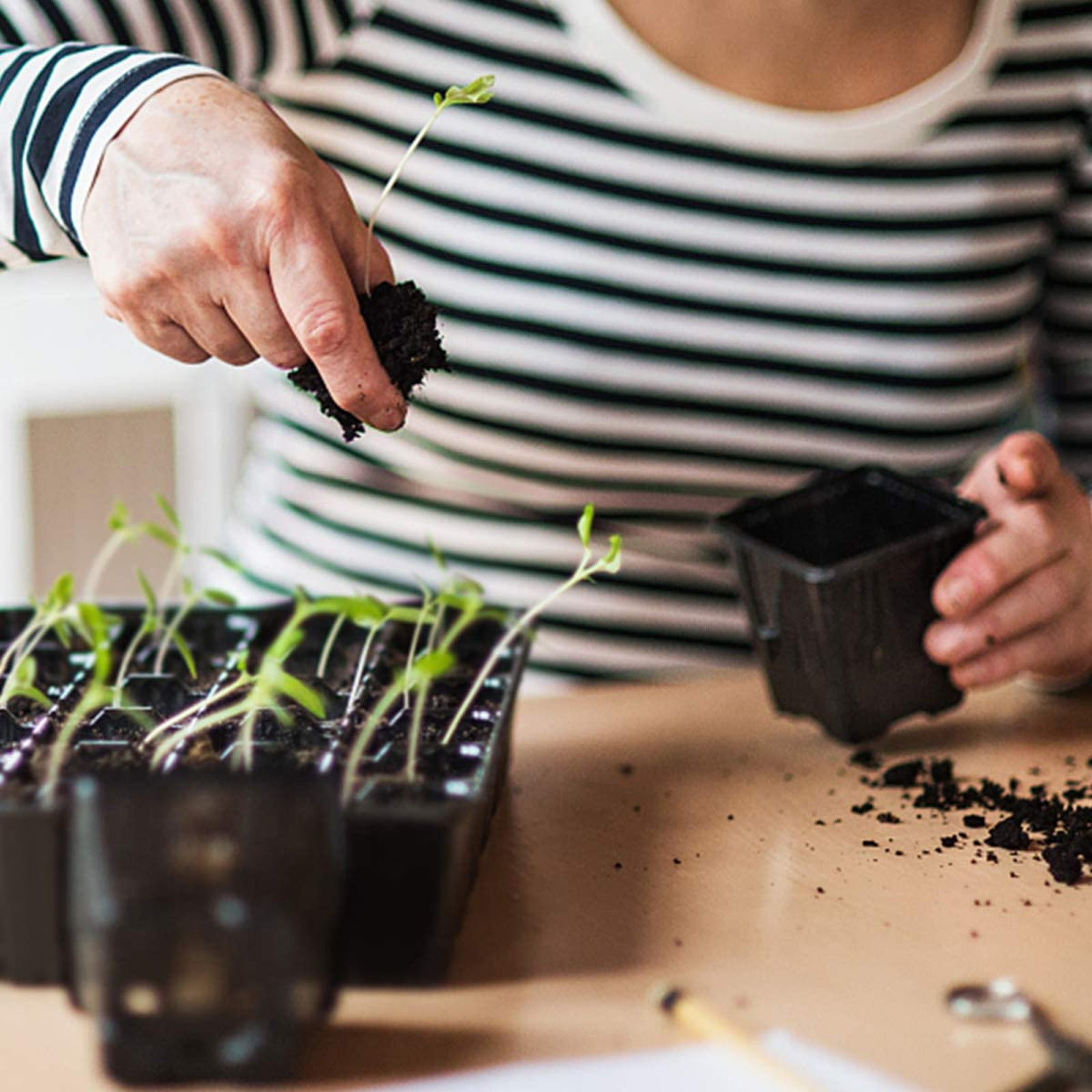 Lot De 50 Pinces De Greffage En Plastique Pour Plantes De Jardin, Légumes, Fleurs, Vignes