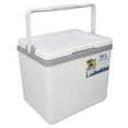 thumbnail image 1 of Small Ice Chest, 10 Liter Insulated Cooler Lunch Box Hard Lunch Box Hard Lunch Box For Men Portable Ice Chest Box with Handle For Camping Picnic Fishing Commercial Use, 1 of 7