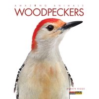 Amazing Animals: Woodpeckers