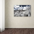 thumbnail image 3 of Trademark Fine Art "White Wall VI" Canvas Art by Philippe Hugonnard, 3 of 3