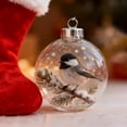 thumbnail image 4 of WUJGXI Transparent Christmas Ball Ornaments Clear Acrylic Bird Memorial for Xmas Tree Home Party Decor Festive Holiday Tree Decoration, 4 of 4