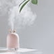 thumbnail image 5 of Humidificador USB de animales de dibujos animados Cateissary difusor de Aroma, 5 of 6