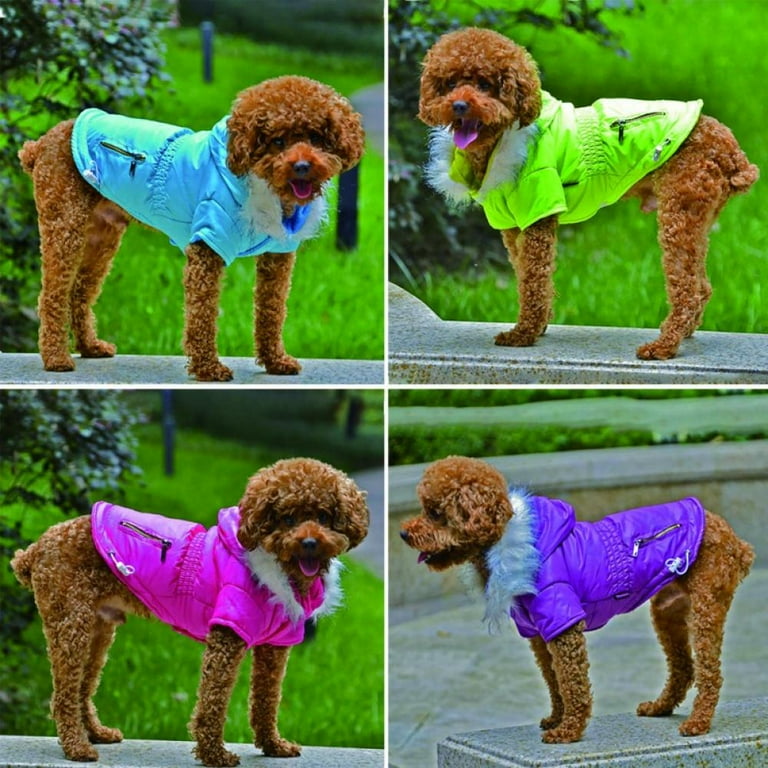 Walmart pet coats store