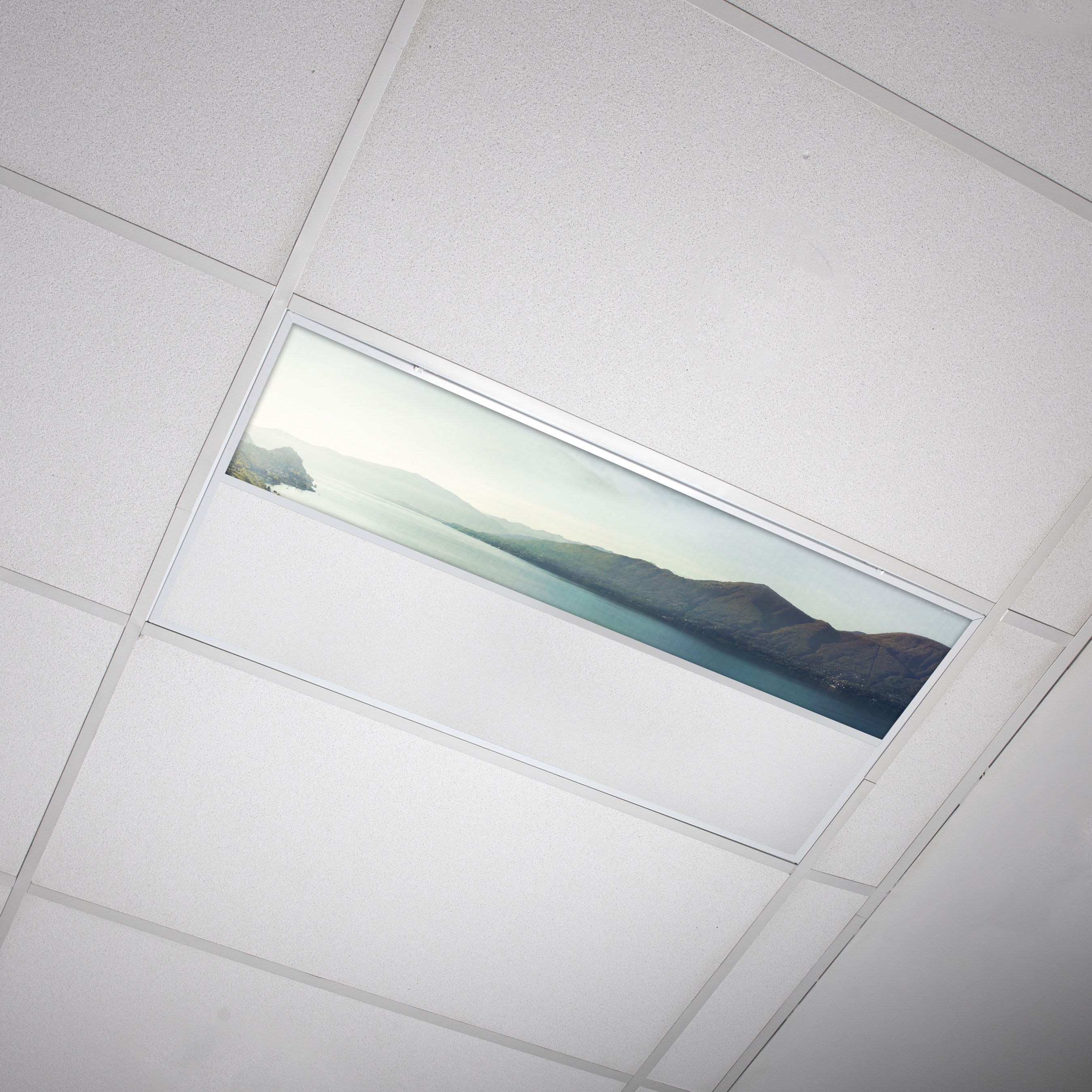 Octo Lights Fluorescent Light Covers 1x4 Flexible Decorative Light