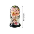 thumbnail image 2 of Romantic LED Rose Flower Night Light Bouquet with Glass Dome,Anniversary Valentine's Day Birthday Gift for Her,Wedding Home Decor,Girlfriend Wife Present,Tabletop Centerpiece for Bedroom Living Room, 2 of 4