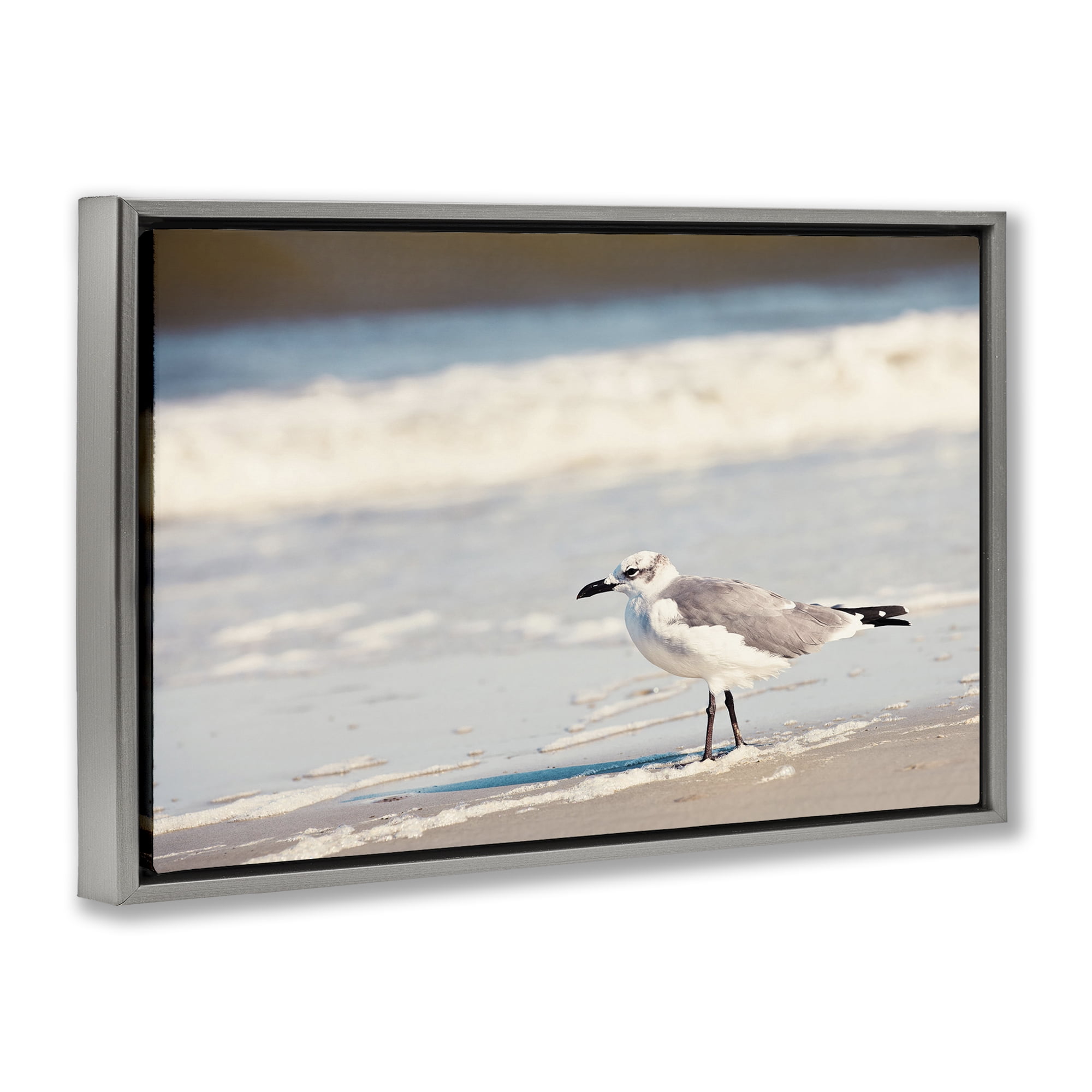 Stupell Industries Seagull Stepping on Shore Coastal Photography Gray Floater Framed Canvas Art Print Wall Art, 25 x 17
