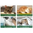 thumbnail image 3 of 12pcs Gato Disuasivo Y Perra Repelente A La Naturaleza para El Patio en () Amarillo, 3 of 4