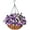 Purple Pink, variant on Artificial Hanging Plants Flowers Basket,Faux Silk Morning Glory Arrangement in 12 inch Planter Flowerpot,Fake Hanging Flowers for Patio Garden Porch Deck Outdoor Spring Decor(Rose red)