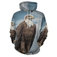 thumbnail image 3 of Eagle Hoodies Classic Oversized Pullover Hoodie Female Long Sleeve Pretty Graphic Casual Hooded Sweatshirts, 3 of 5