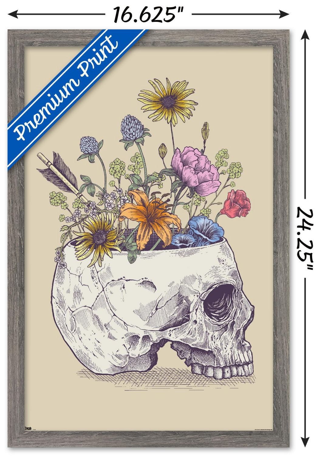 Rachel Caldwell - Flower Skull Wall Poster, 14.725" x 22.375" Framed