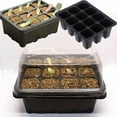 thumbnail image 5 of Nursery Box​ Black Plastic Tray Twelve Square Cells Rich Clear Dome Tag Stick Indoor Greenhouse Cultivate All Kinds Seedling Starter, 5 of 6