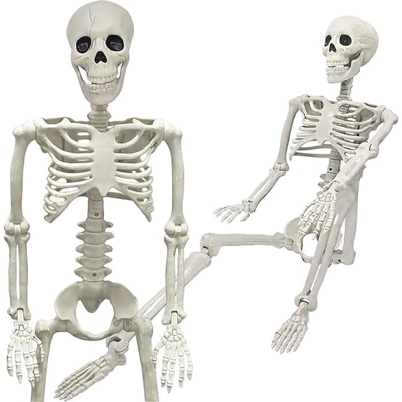 27.6" Skeleton Halloween Decorations, 3FT Realistic Full Body Movable Posable Joints Skeleton, Creepy Halloween Plastic Skeleton for Graveyard Decorations, Haunted House Props Indoor/Outdoor Decor