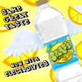Splash Blast, Lemon Flavor Water Beverage, 16.9 FL OZ Plastic Bottles