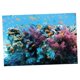 thumbnail image 4 of 3D Acuario Paisaje Póster Pecera Vivarium Fondo Sea S Yuyangstore Imagen del fondo del tanque de pescados, 4 of 8