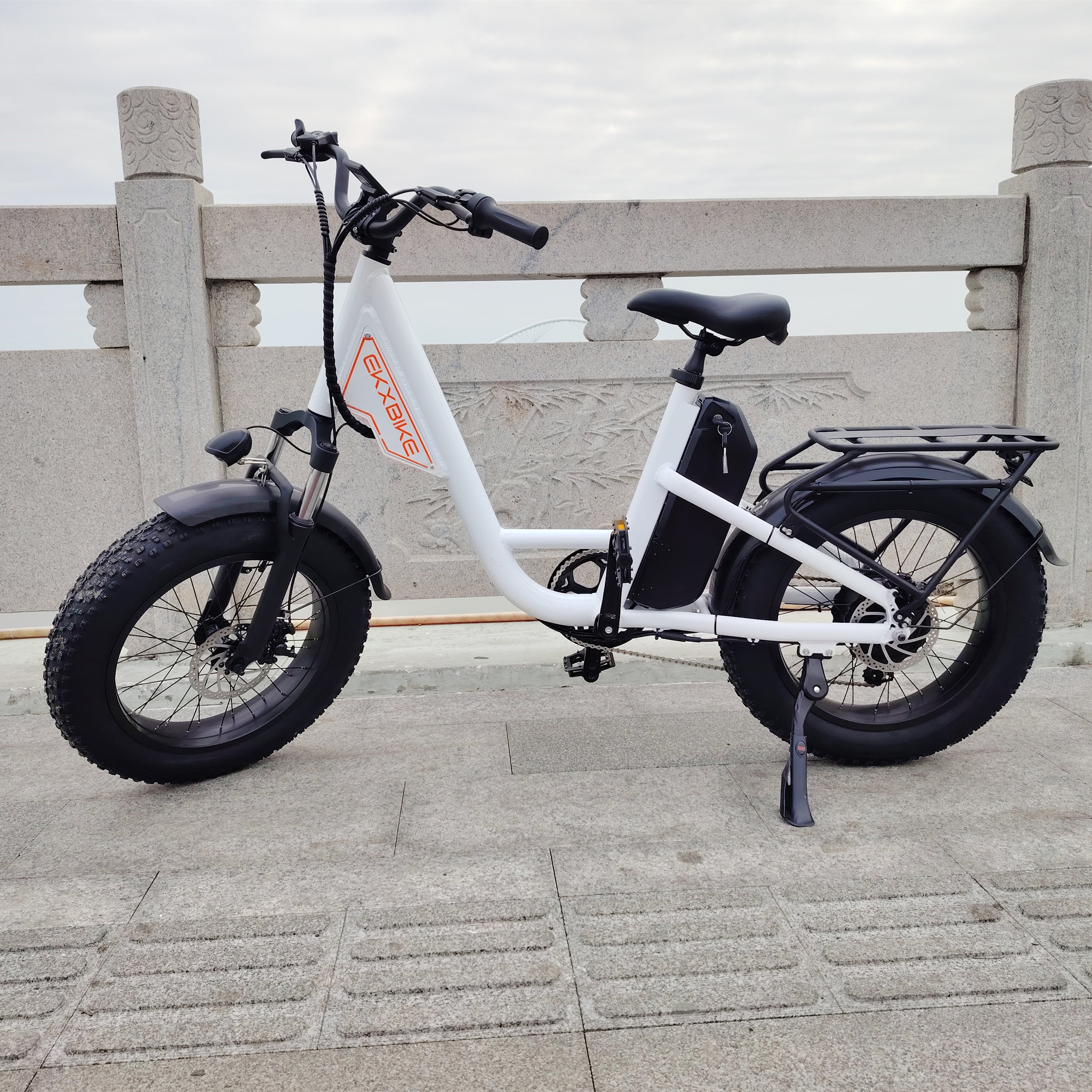 EKXBIKE Ebike for Adults, 1000W 15.6Ah 48V 30mph Mountain Bike , 20'' Fat Tire Electric Bicycle UL2849