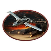 3-D A-10 Warthog Made in the USA with heavy gauge steel"
