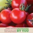 thumbnail image 3 of Harris Seeds Tomato Supersweet 100 F1 Pelleted, High-Yield Cherry Tomato Variety, 50 Count, 3 of 7