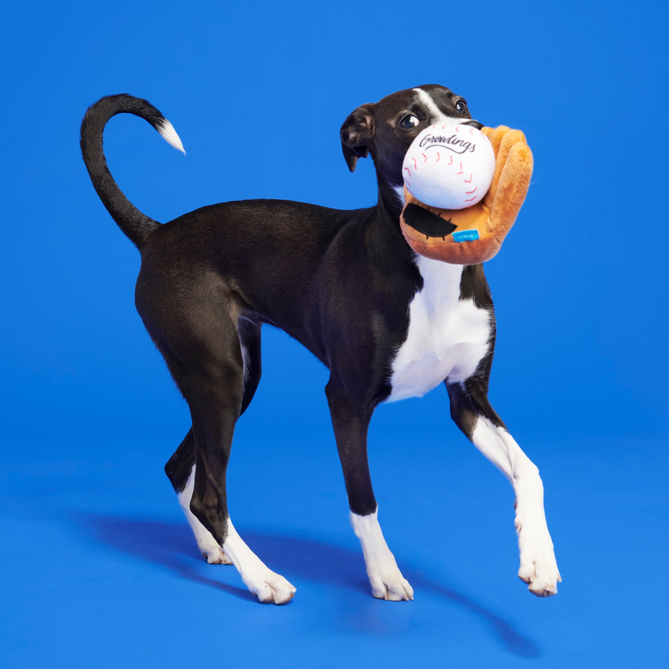 BARK Growlings Baseball Glove & Ball - Yankee Doodle Multi-Part Dog Toy