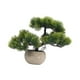 thumbnail image 2 of bonsái artificial, bonsái falso coleccionable, plantas artificiales, bonsái verde para interior, estantería de escritorio para oficina Verde oscuro, 2 of 8