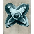 thumbnail image 2 of Vision Studio 26x32 White Modern Wood Framed Museum Art Print Titled - Blossfeldt Redeux IV, 2 of 4