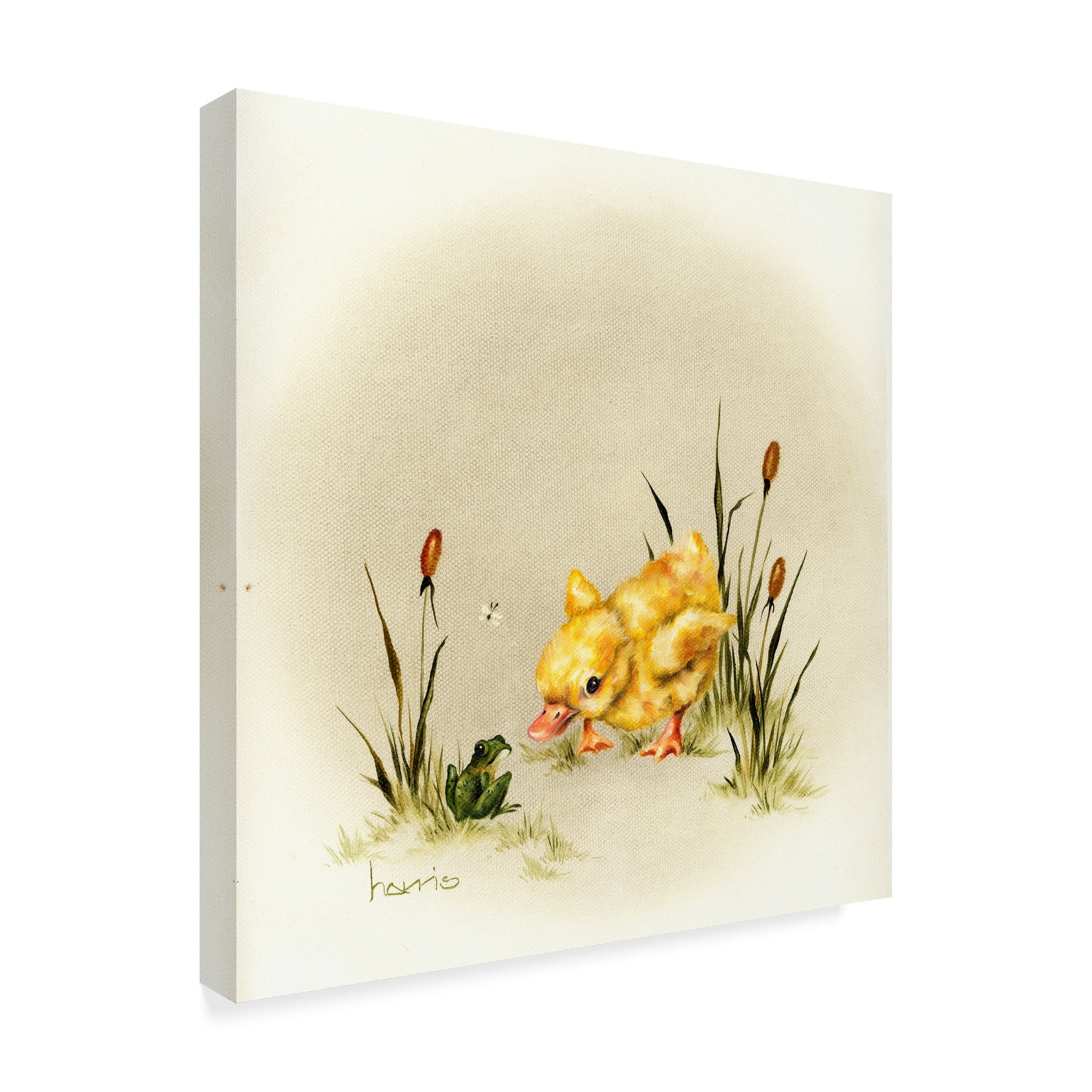 Trademark Fine Art 'Its Always Something' Canvas Art by Peggy Harris