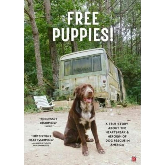 Free Puppies! (DVD), First Run Features, Documentary