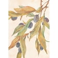 thumbnail image 2 of Unknown 11x14 Black Ornate Wood Framed with Double Matting Museum Art Print Titled - Hanging Olives, 2 of 4