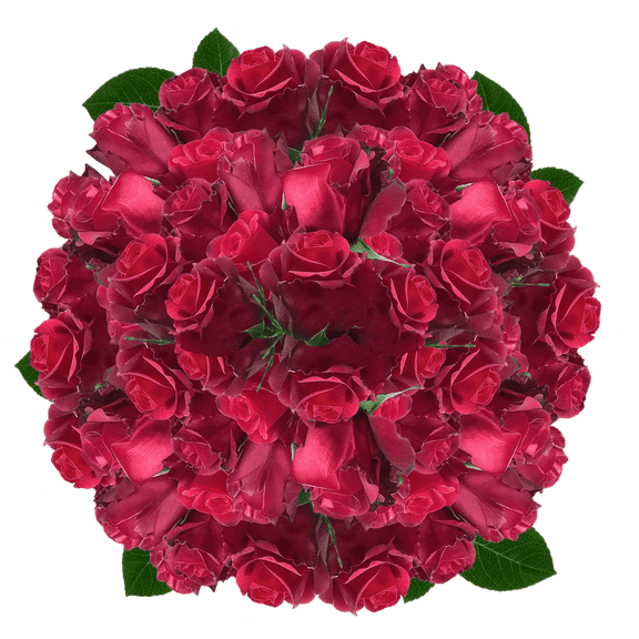 100 Stems of Sexy Red Roses- Fresh Flower Delivery