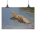 thumbnail image 2 of Print: Gator Alley At The D'olive Boardwalk Park In Daphne, Alabama, Is, 2 of 4